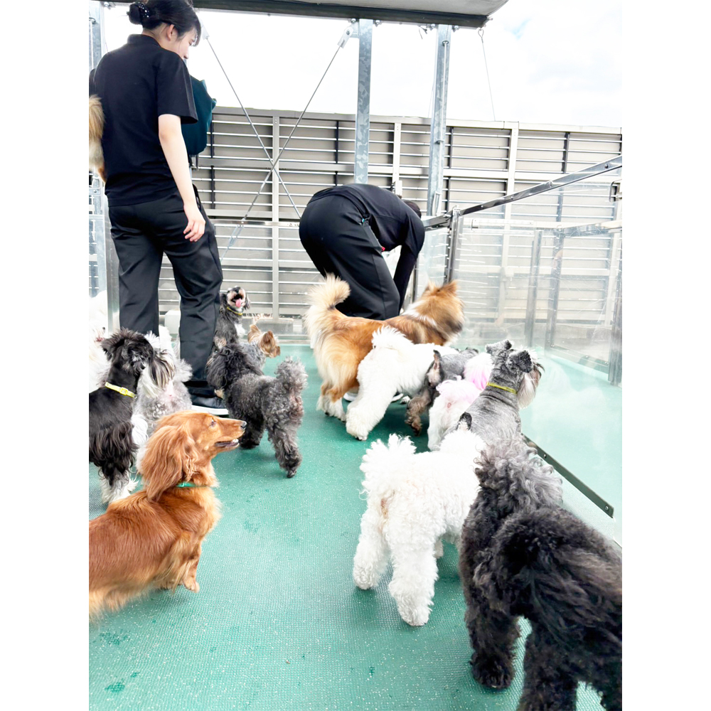 Ｗａｎ活で生徒が撮影した写真♪③